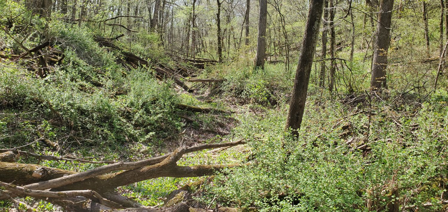 Castle Rock State Park 